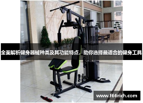 全面解析健身器械种类及其功能特点，助你选择最适合的健身工具