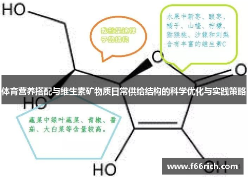 体育营养搭配与维生素矿物质日常供给结构的科学优化与实践策略
